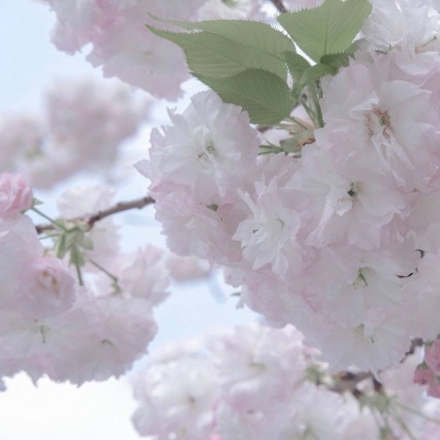 兽设动态构图思路兽圈社群